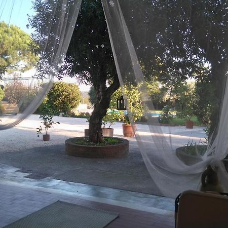 Il Gelso Di Barcuzzi Bed & Breakfast Lonato Bagian luar foto