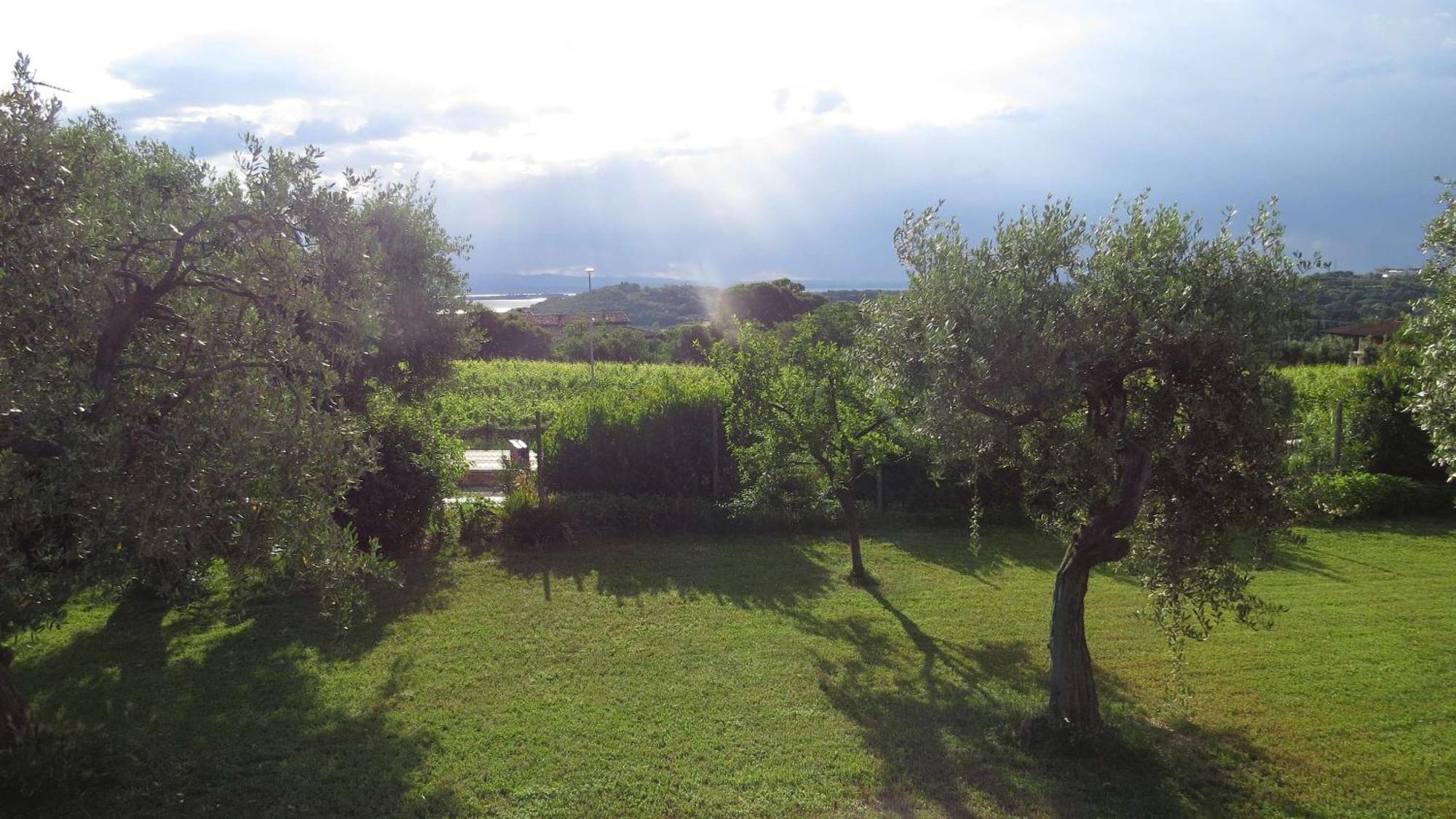 Il Gelso Di Barcuzzi Bed & Breakfast Lonato Bagian luar foto