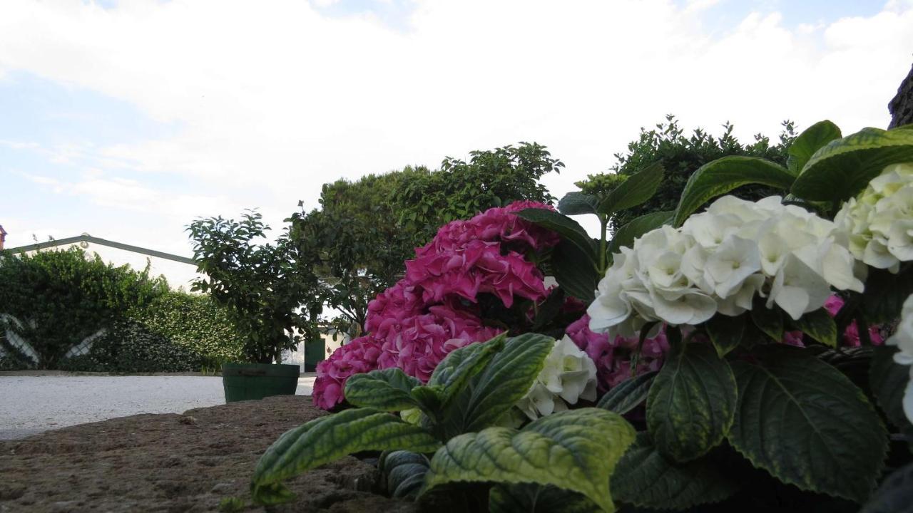 Il Gelso Di Barcuzzi Bed & Breakfast Lonato Bagian luar foto