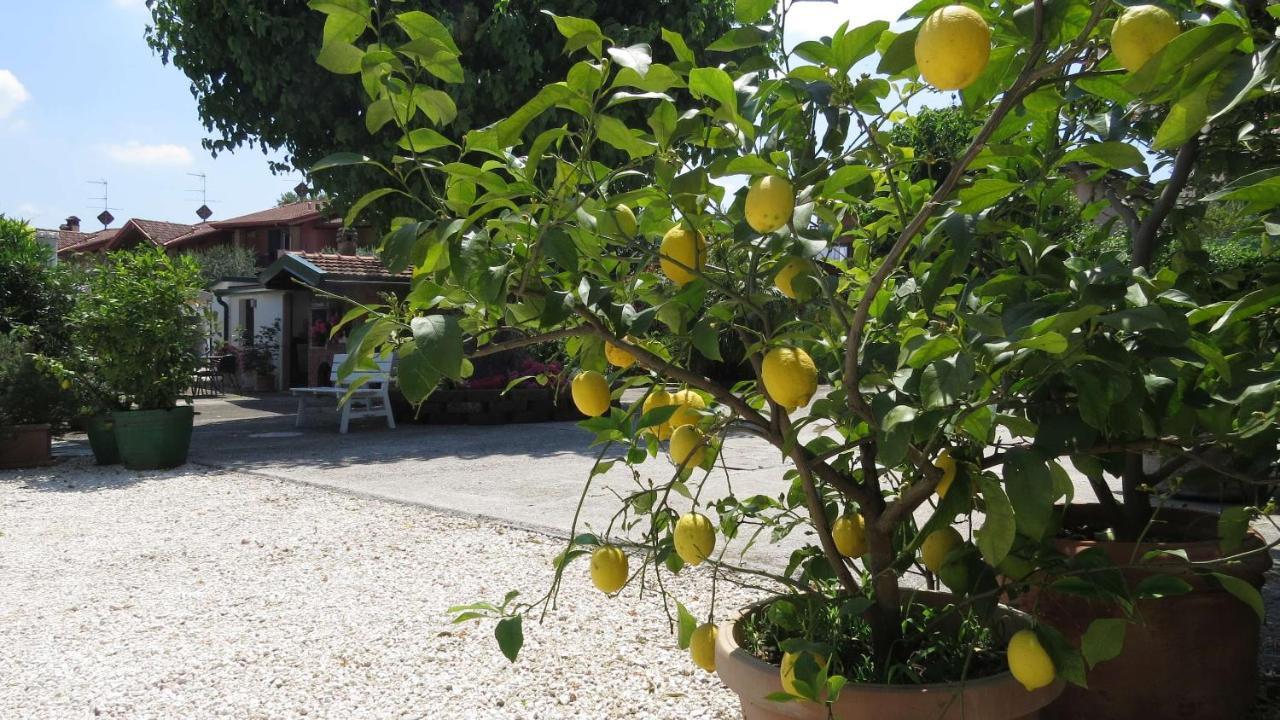 Il Gelso Di Barcuzzi Bed & Breakfast Lonato Bagian luar foto