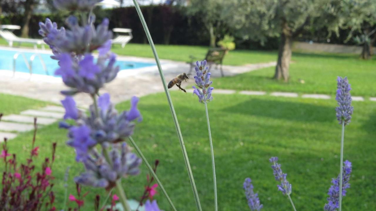 Il Gelso Di Barcuzzi Bed & Breakfast Lonato Bagian luar foto