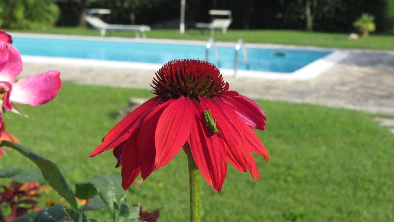 Il Gelso Di Barcuzzi Bed & Breakfast Lonato Bagian luar foto