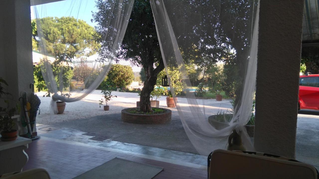Il Gelso Di Barcuzzi Bed & Breakfast Lonato Bagian luar foto